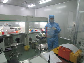 软件技术服务的价格评估与供应商采购策略