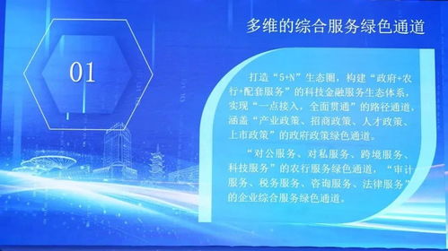 科技金融双向赋能新篇章 信息技术咨询服务在对接会上的核心价值
